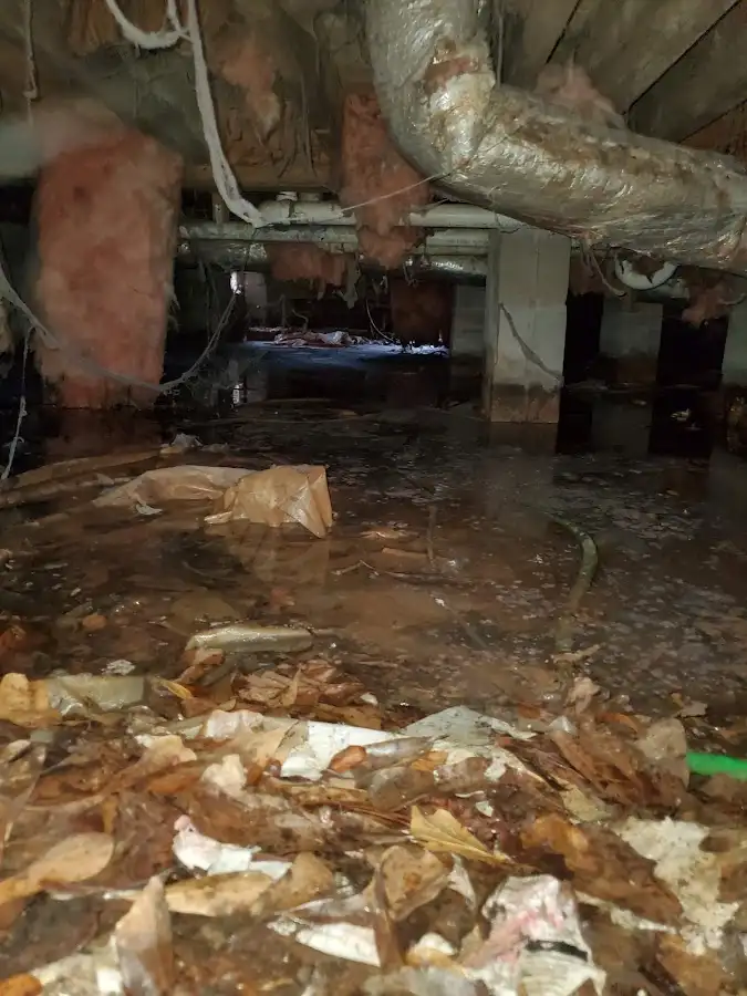 Crawl space flood assessment for Leak Detection & Repair in Goldenrod