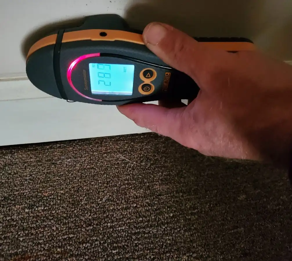 Moisture detection at baseboard during Mold Inspection & Testing in Goldenrod